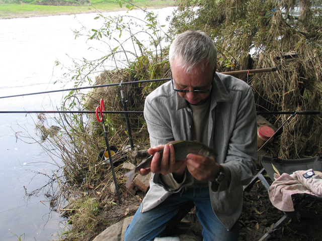 Slippy Grayling
