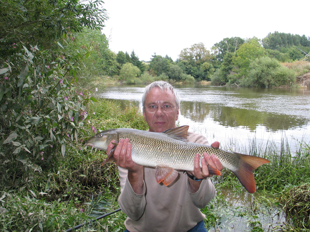 IMG_3594 Barbel 7lb